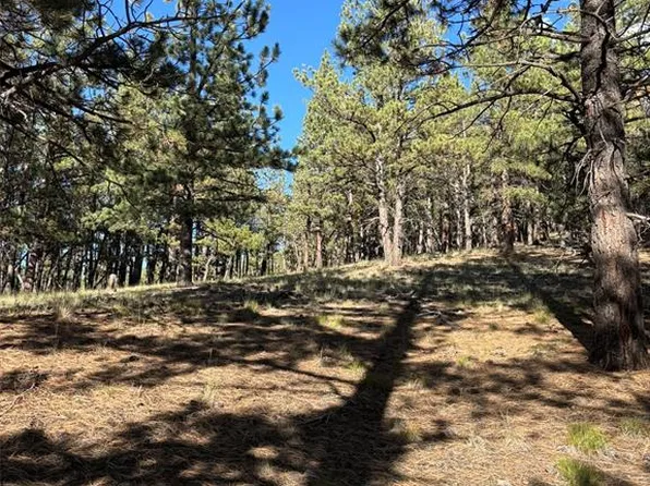 44 Horn Silver Dr, Westcliffe, CO 81252