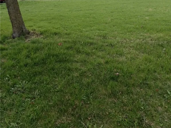 0 Montgomery Ave, Springfield, OH 45506