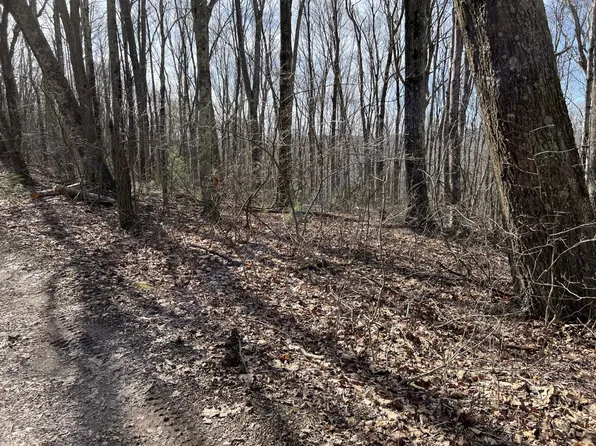 33 Bear Trak, Gap Mills, WV 24941