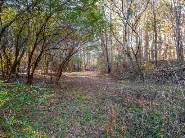 2040 Brookside Rd #1, Mount Olive, AL 35117