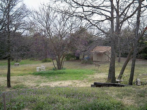 Springtime deer byard