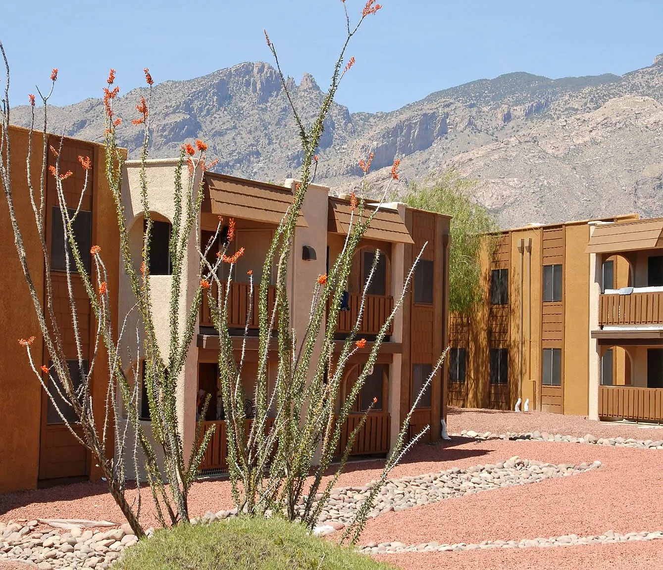 Elevation Apartments — Photo 1