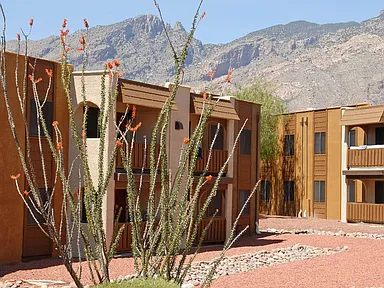 Elevation Apartments