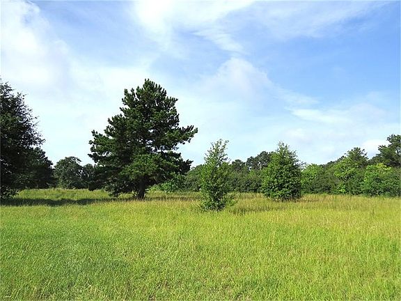 Land features both mature trees and open terrain perfect for hay, cattle, horses or your new home!