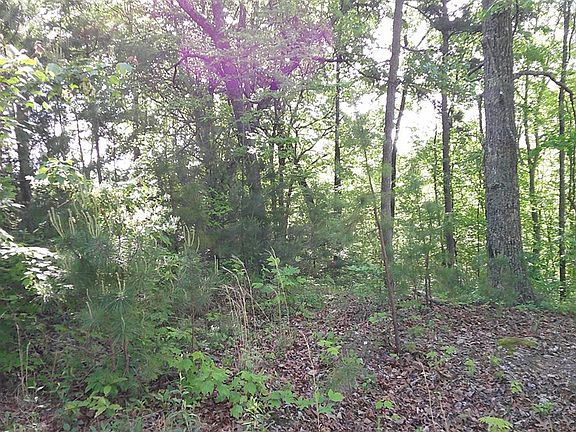 5th image of LOT 8 Fain Peak
