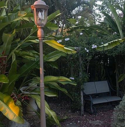 another view backyard