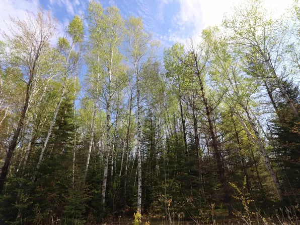 32 Star Route Rd, Bayfield, WI 54814