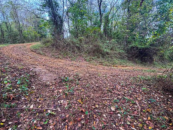 65th image of 1975 Boggs Rd