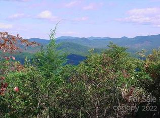 361 Hickory Nut Ln, Lake Lure, NC 28746