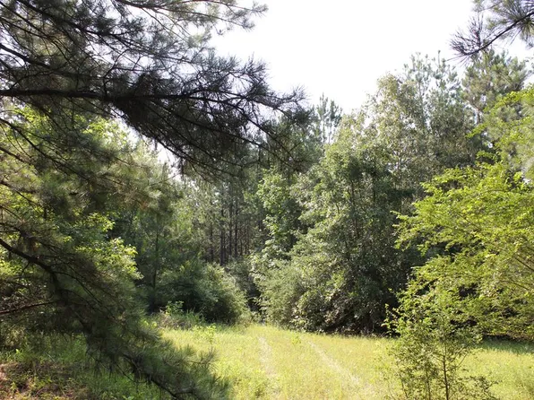 Pid 36982 Ben Dunn Rd, Lufkin, TX 75901