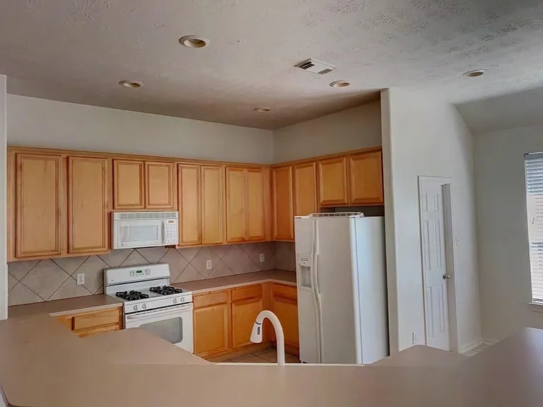 18207 Linden Forest Ln — Photo 14