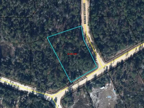 0 Goreville Ave, Alford, FL 32420