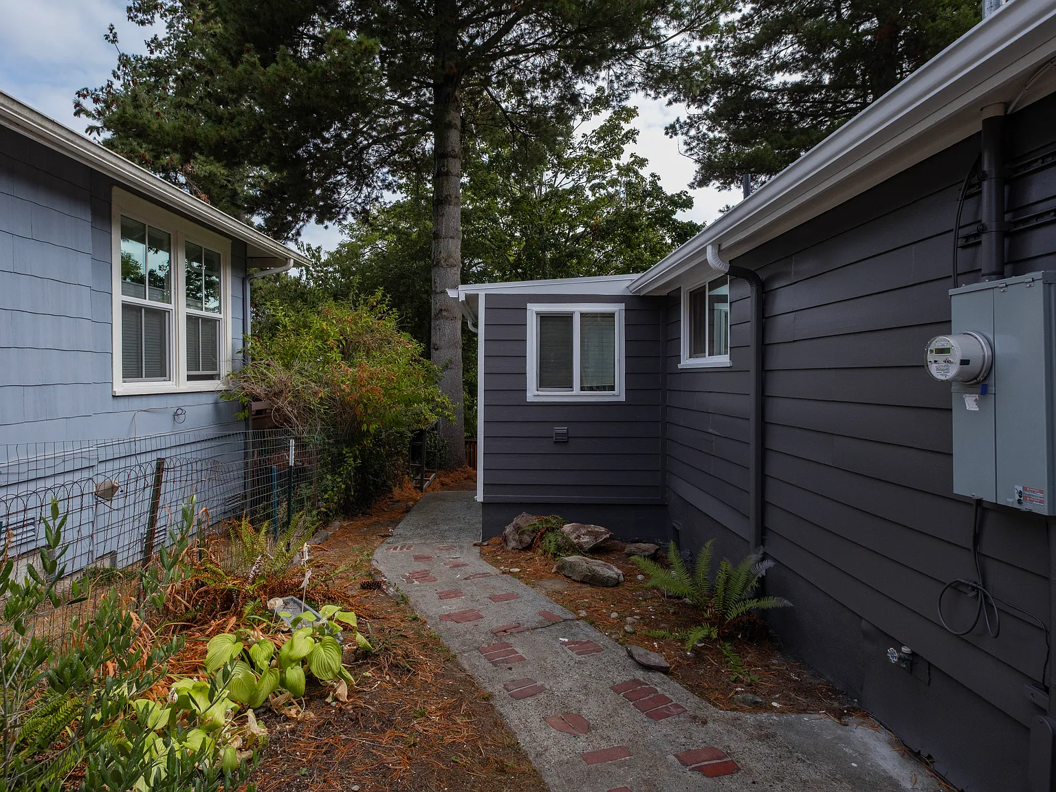 1 bed, 550 sqft, $1,600 — Photo 2