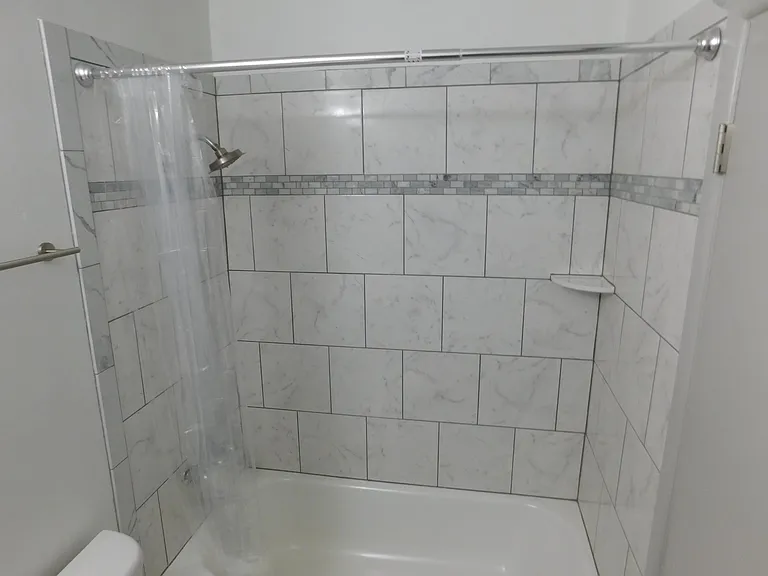 Master bathroom tub and shower