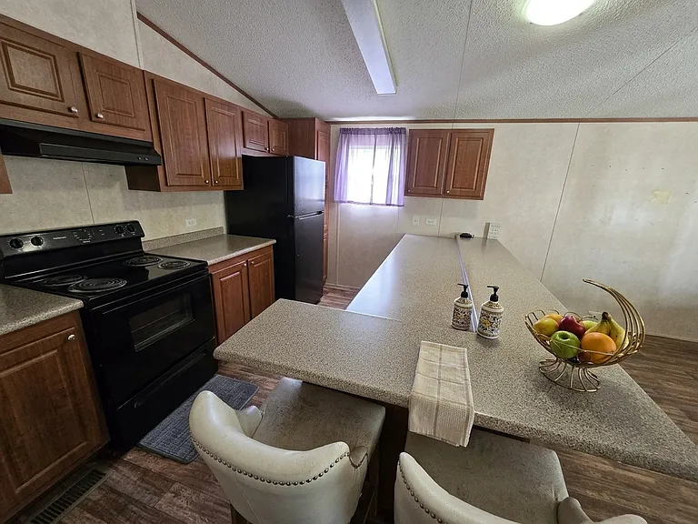 Swan Lake - Rent to Own — Photo 37