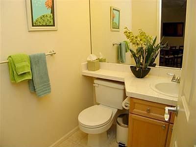 Guest Bath