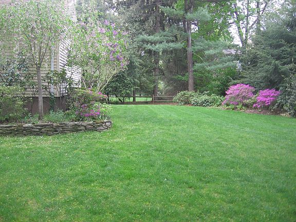 Beautiful Yard