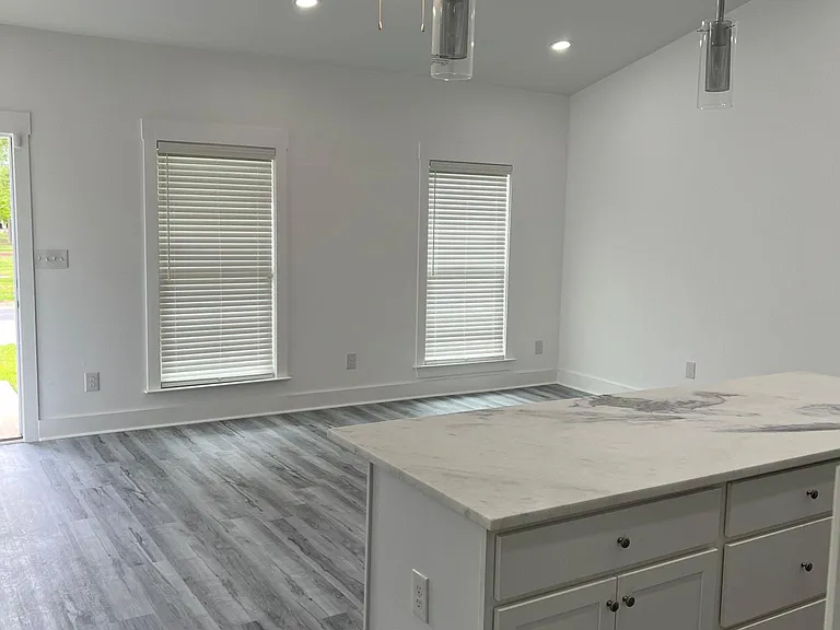 1702 N Hayne St — Photo 4