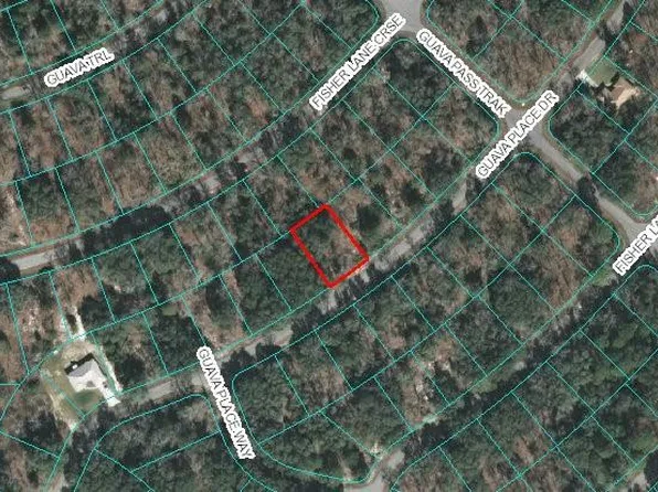 0 Guava Place Dr #14, Ocklawaha, FL 32179