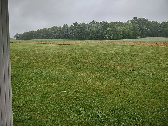 View from back living area