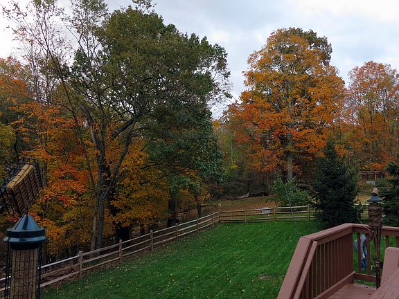 Autumn 2012