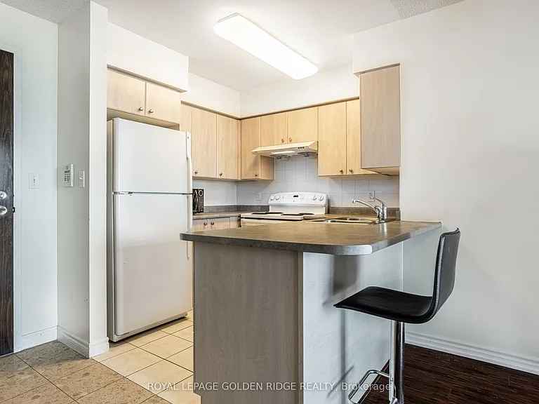 18 Spring Garden Ave #1506 — Photo 7