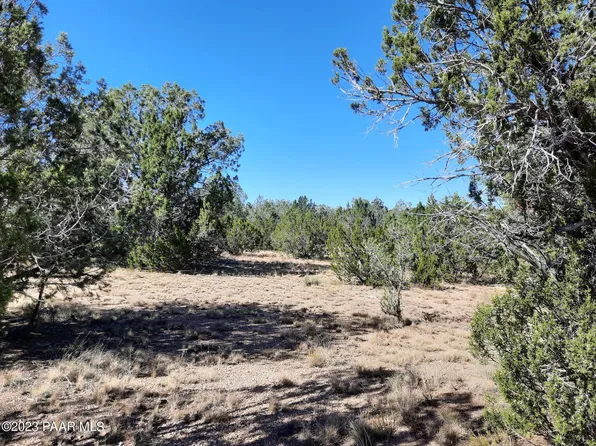 31482 W Avenida Oveja, Seligman, AZ 86337