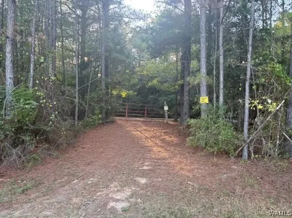 0 County Road 51, Fayette, AL 35555