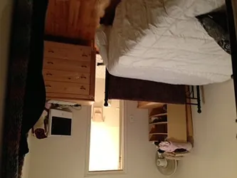 Rented by Standard Realty