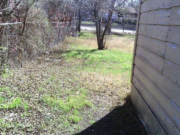 Back yard1