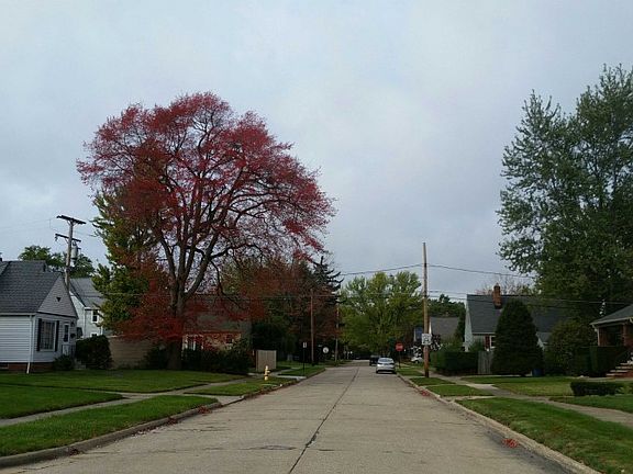 4th image of 4308 Liggett Dr