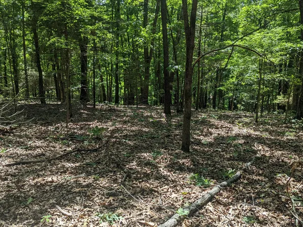 5148 Mo-173, Cape Fair, MO 65624