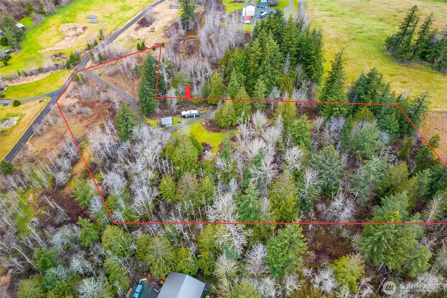 4858 Lilly Lane photo 1