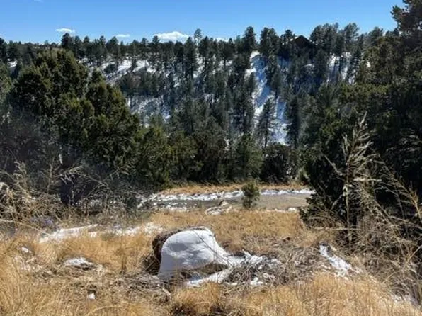 L1 High Ridge Trl, Alto, NM 88312