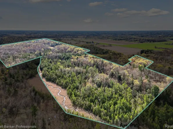 0 Conley Rd, Attica, MI 48412