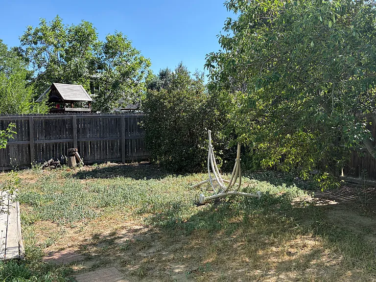 Backyard View 2 with Hammock Stand