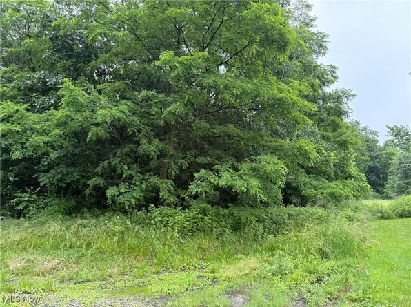 2077 Coleman Ave, Akron, OH 44312