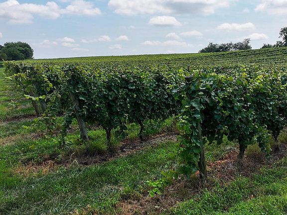 4th image of 101 Griffin Rd