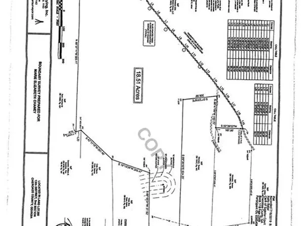 919 Dry Pond Ln, Canton, GA 30114