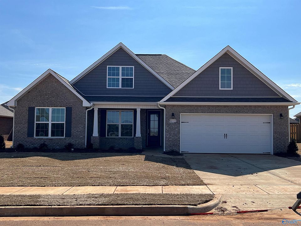 No Caption