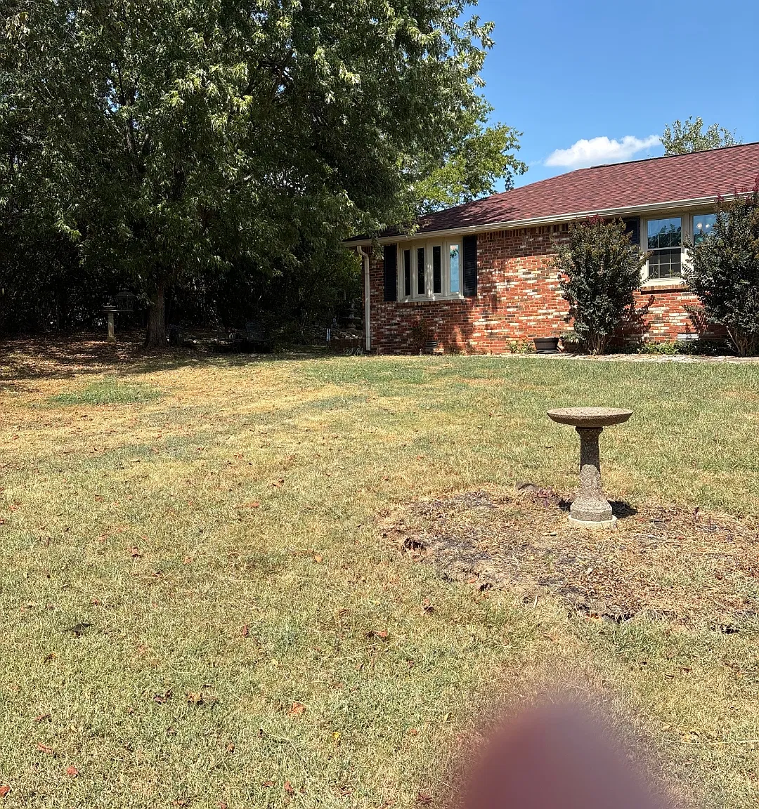 1 bed, 750 sqft, $1,200 — Photo 1