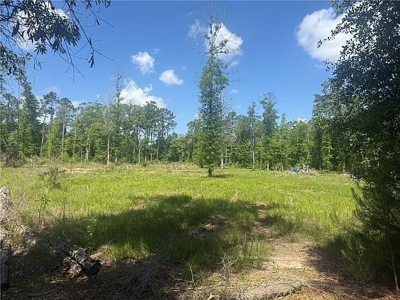 4th image of 39667 School Section Rd