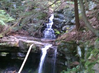 106 Windy Ridge Rd, Middleburgh, NY 12122