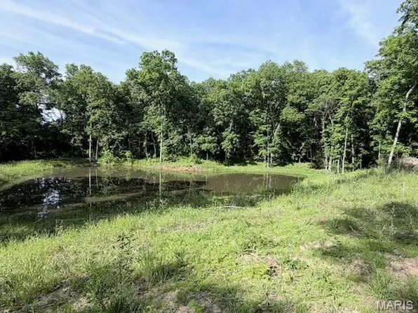 16 Turning Leaf Ln, Foley, MO 63347