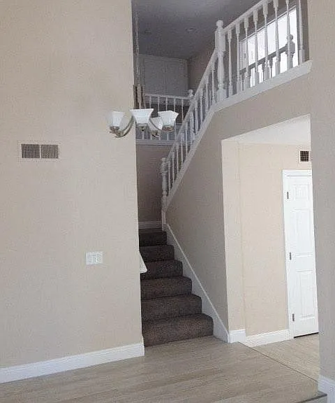 Newer carpet