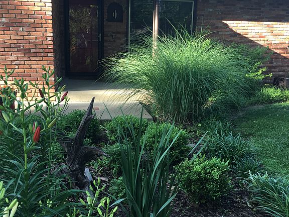 Come see what's blooming now