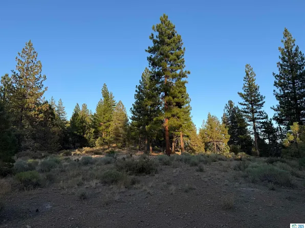 35 Cheney Creek Rd, Susanville, CA 96130