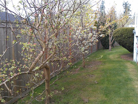 5th image of 14814 80th Ave SE