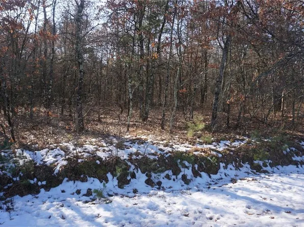 Lot 10 Scotters Trail, Merrillan, WI 54754