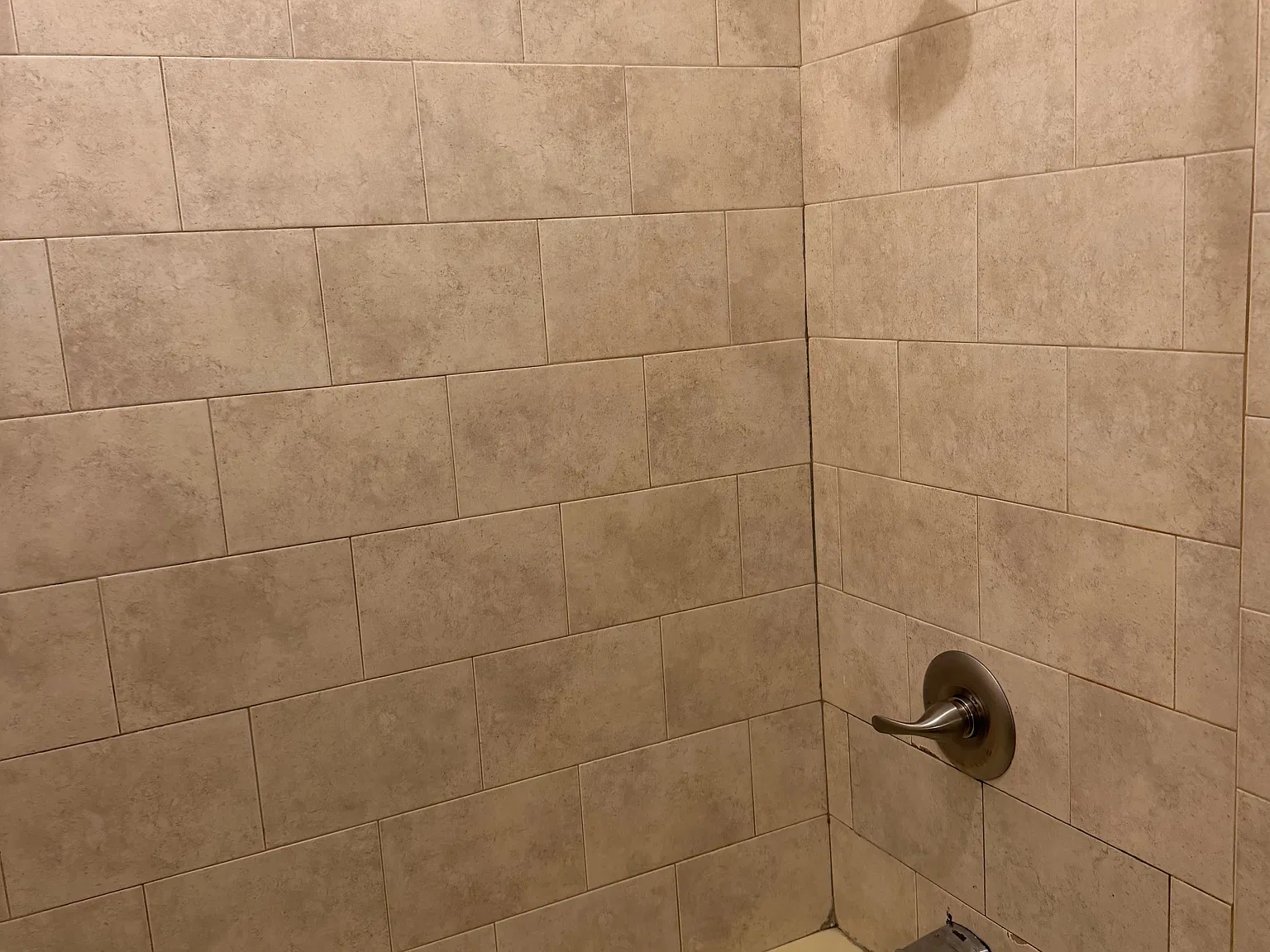 1 bed, $1,200 — Photo 4